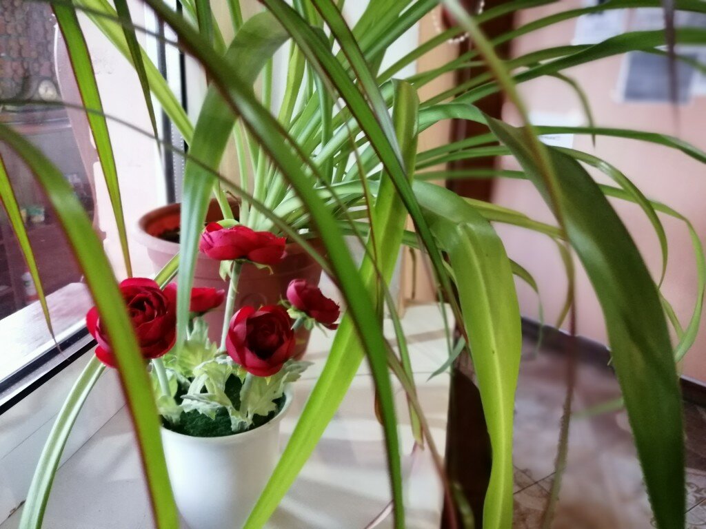 Гостиница Рубикон Владимир-40