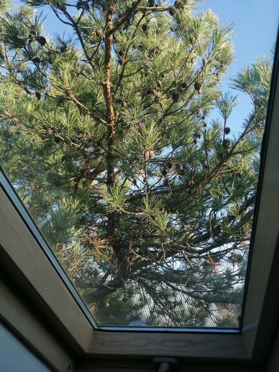 Гостиница Рубикон Владимир-45