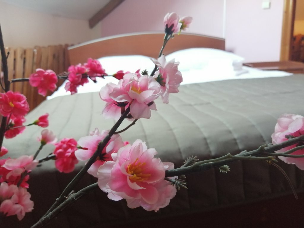 Гостиница Рубикон Владимир-15