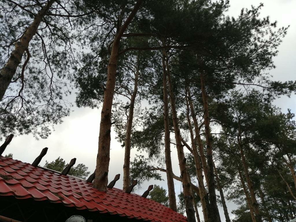 Гостиница Рубикон Владимир-62