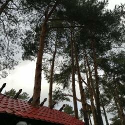 Гостиница Рубикон Владимир-19