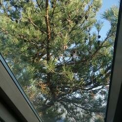 Гостиница Рубикон Владимир-77