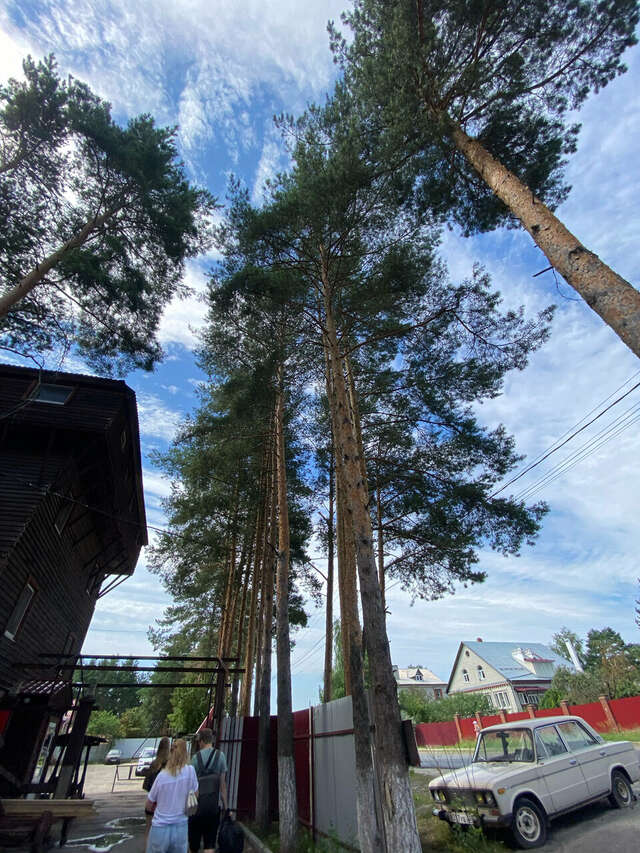 Гостиница Рубикон Владимир-226