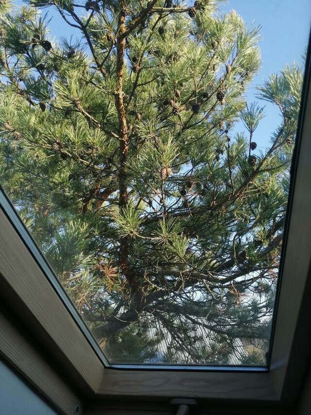 Гостиница Рубикон Владимир-44