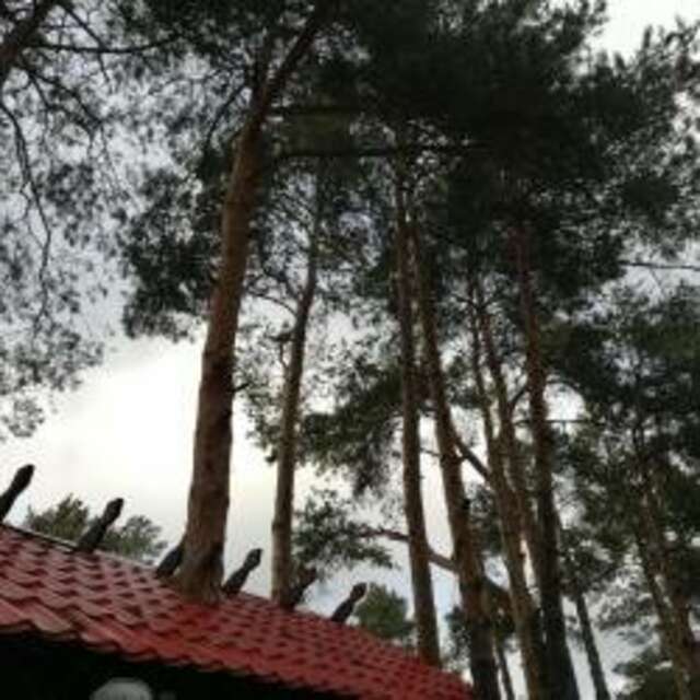 Гостиница Рубикон Владимир-18