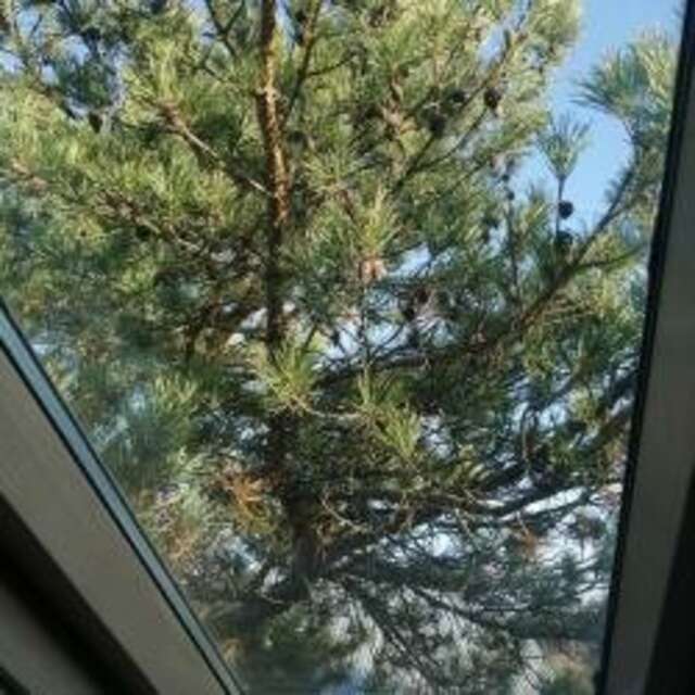 Гостиница Рубикон Владимир-76