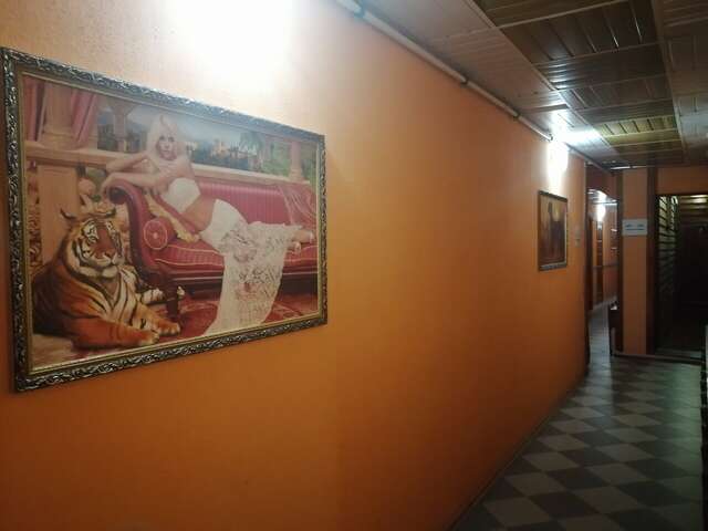 Гостиница Рубикон Владимир-233